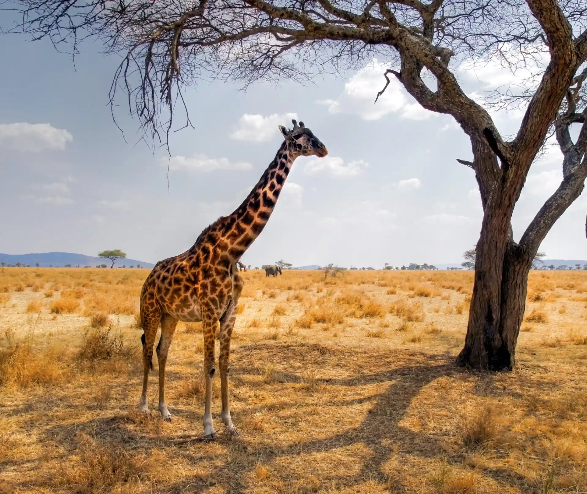 11 Days Tanzania Intrepid Expedition