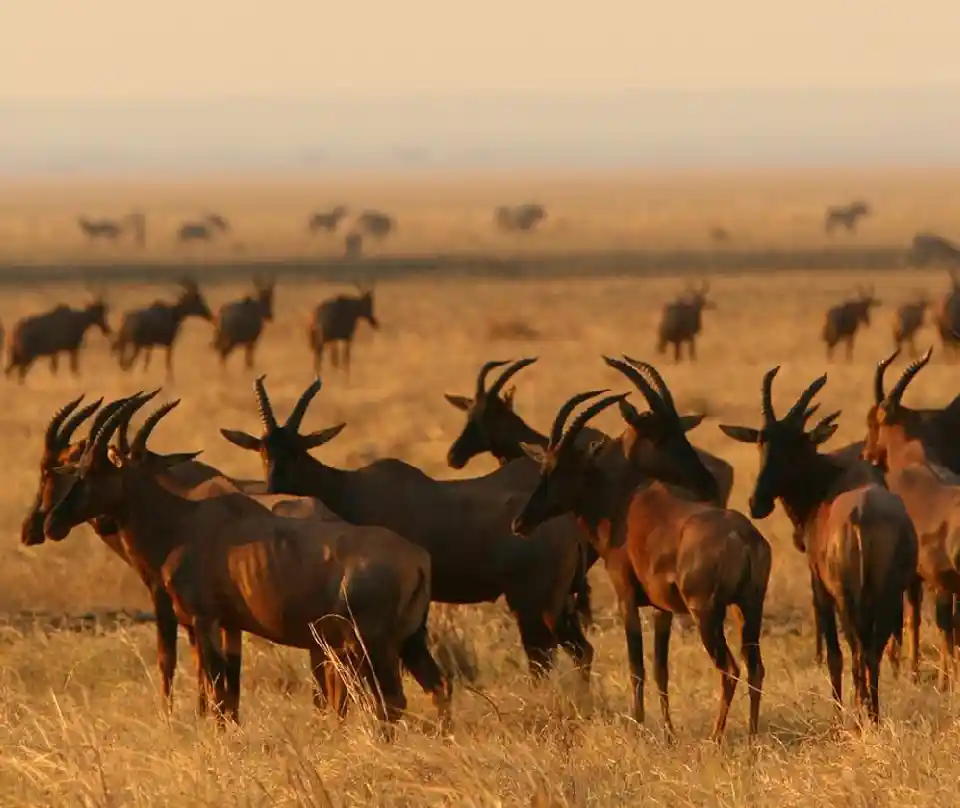 11 Days Tanzania Intrepid Expedition