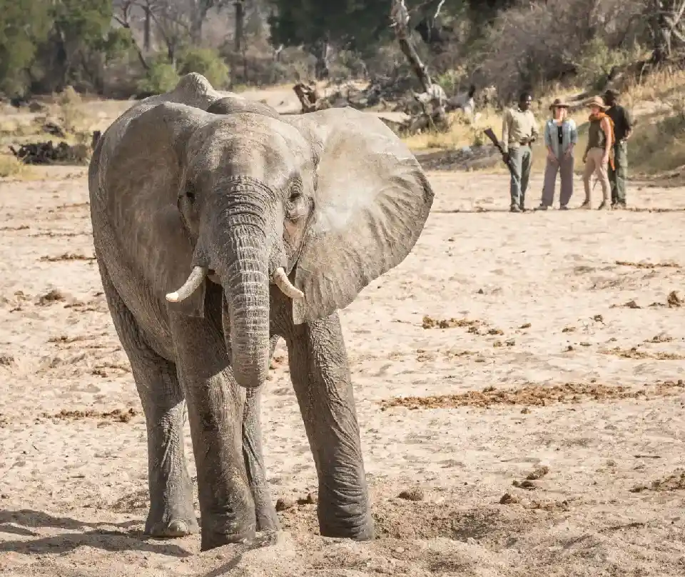 11 Days Tanzania Intrepid Expedition