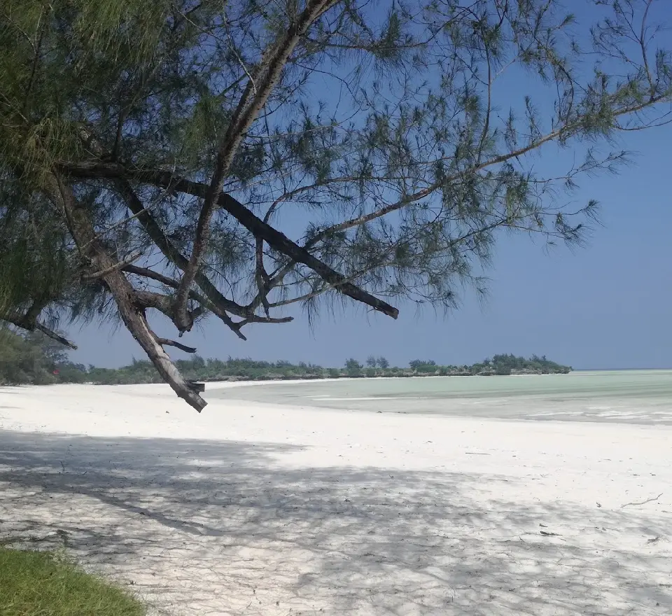 2 Days Pemba Island Tours