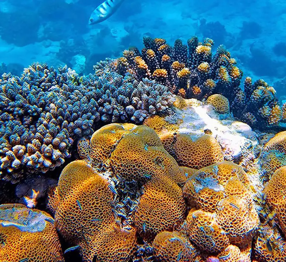 4 Days Misali Island Tour     Attraction