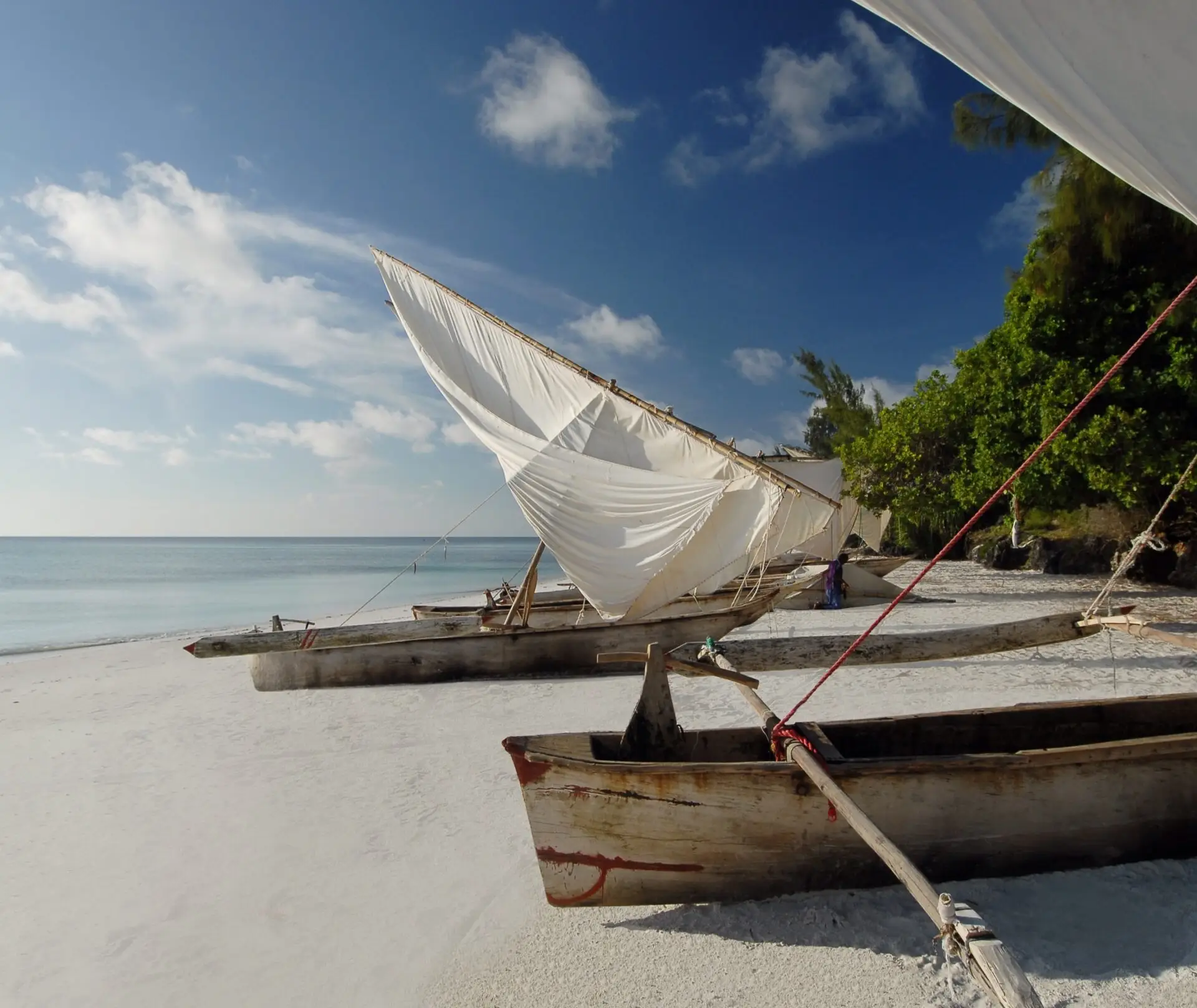 5 Days North Pemba Island       Attraction