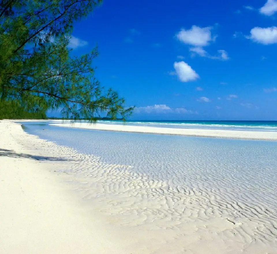 5 Days Pemba Island Tours      Attraction