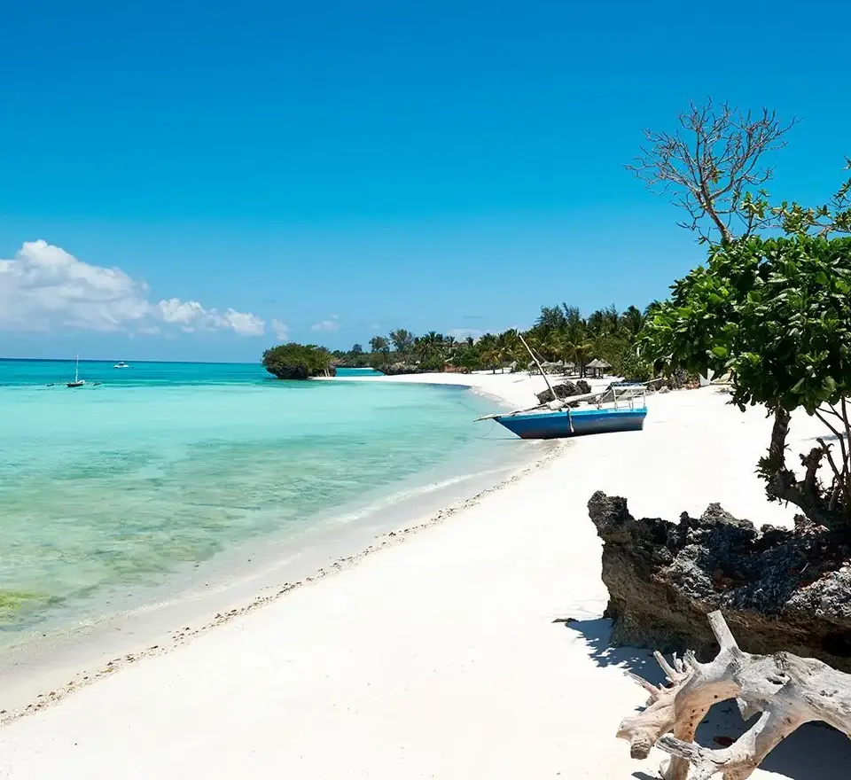 5 Days Pemba Island Tours      Attraction