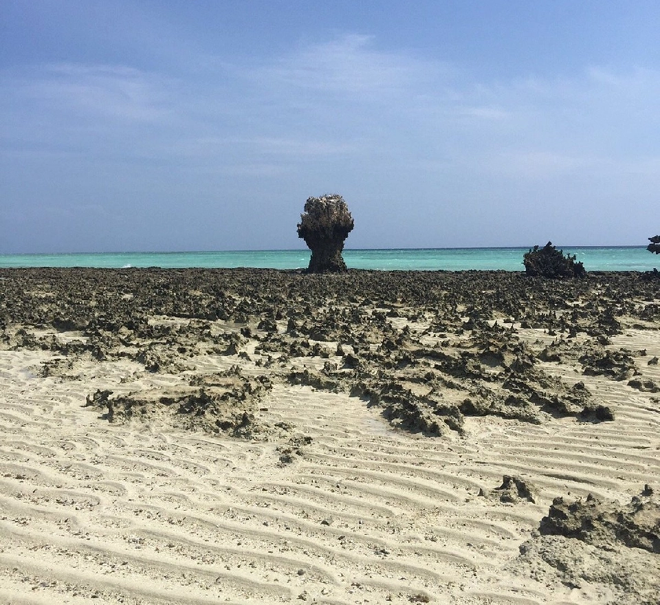 7 Days Pemba Island Tours       Attraction