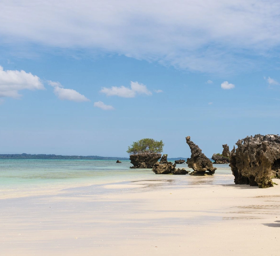 7 Days Pemba Island Tours       Attraction