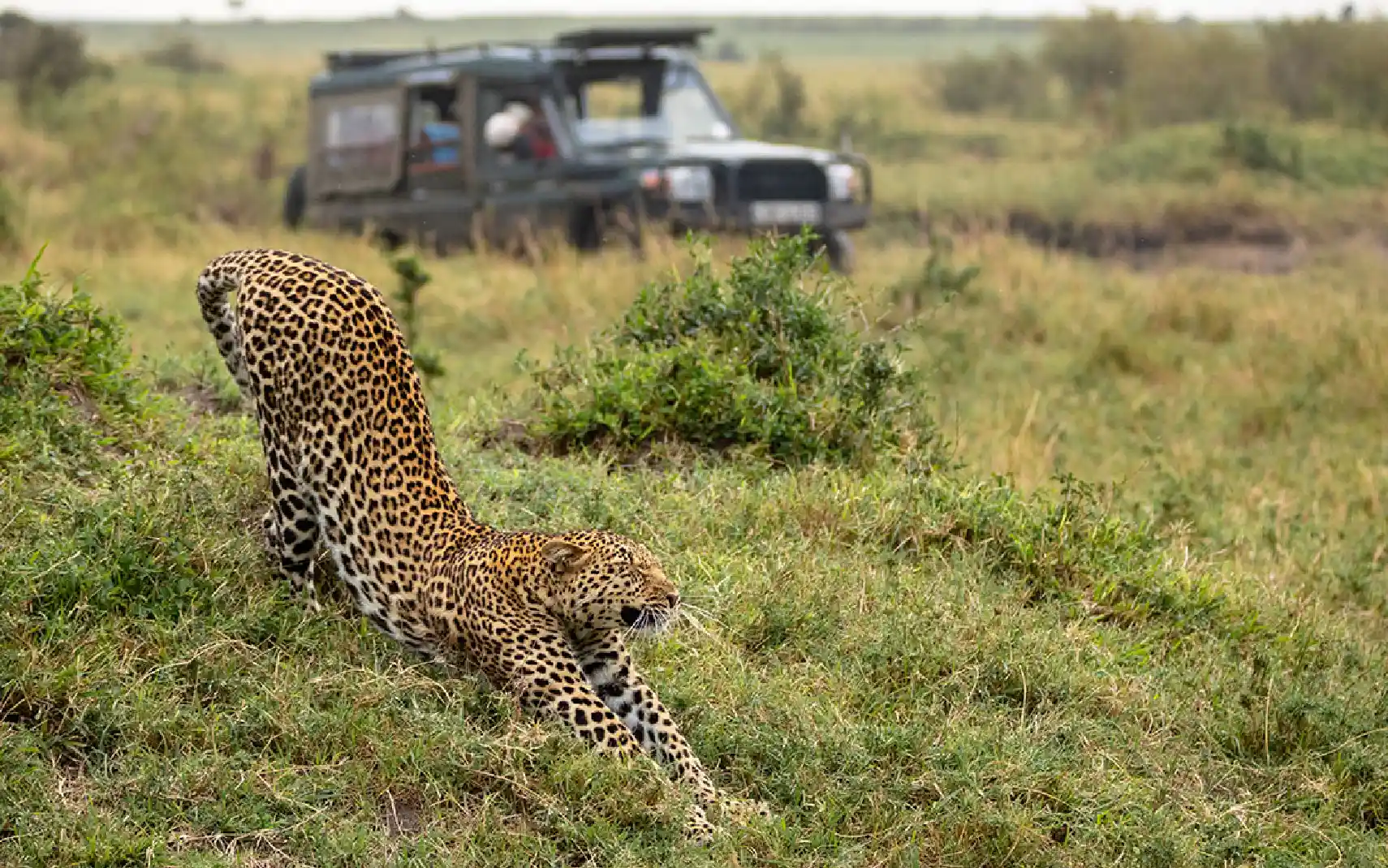 9 Days Best of South Tanzania Expedition