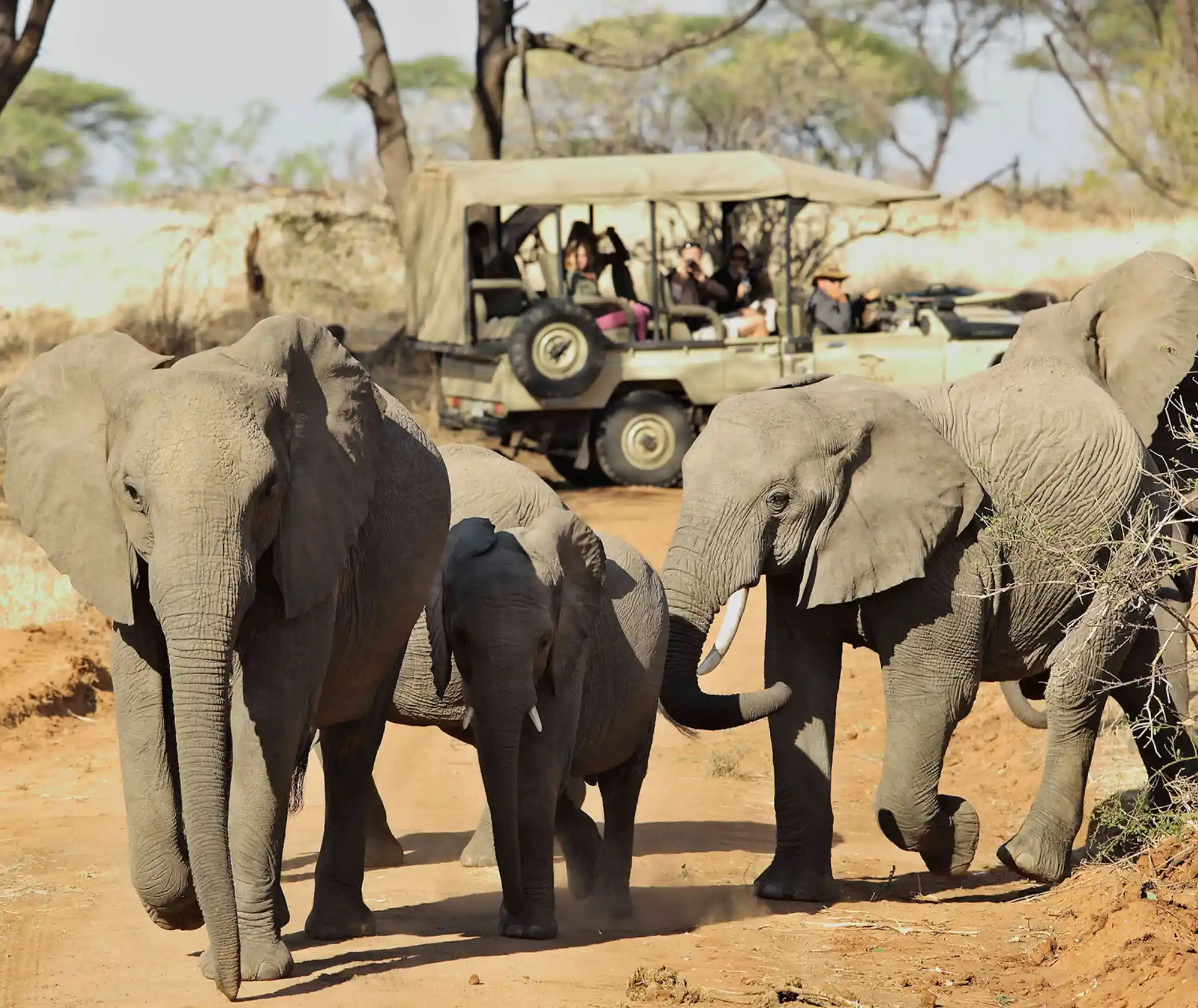 9 Days Best of South Tanzania Expedition