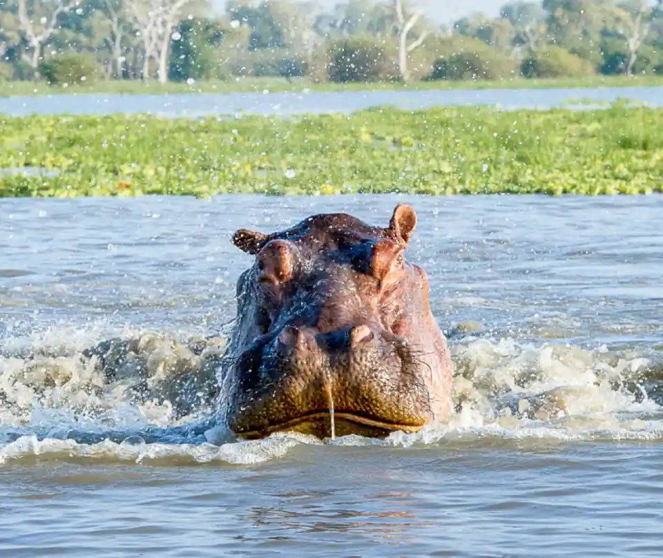 9 Days Best of South Tanzania Expedition