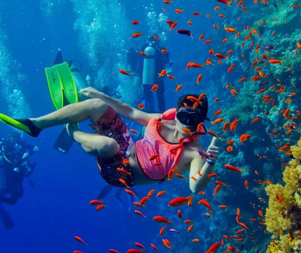 Mnemba Atoll Attraction