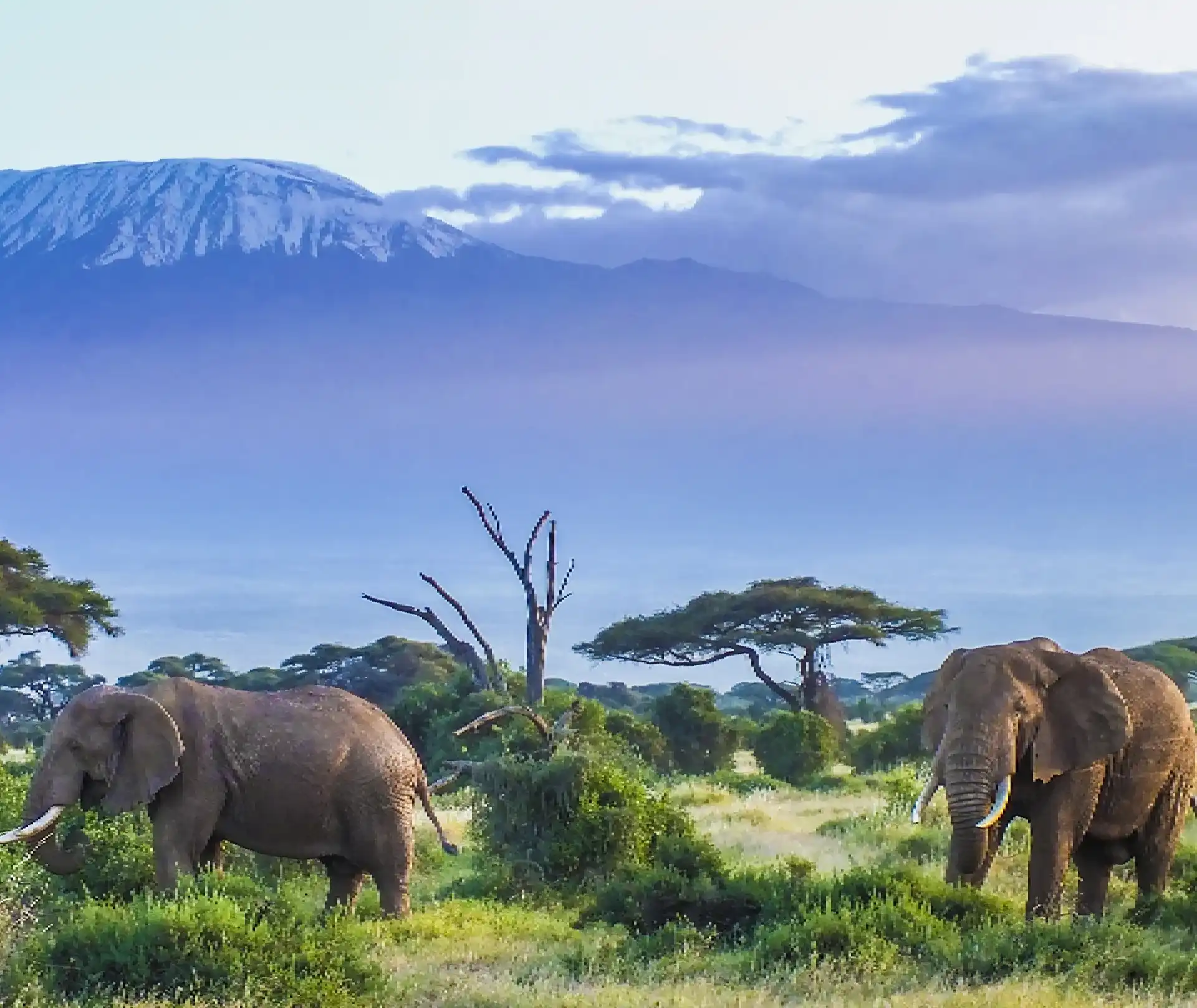 Tanzania