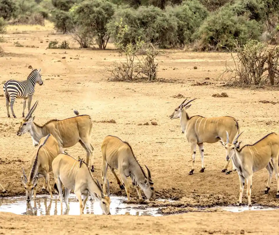 Tarangire National Park