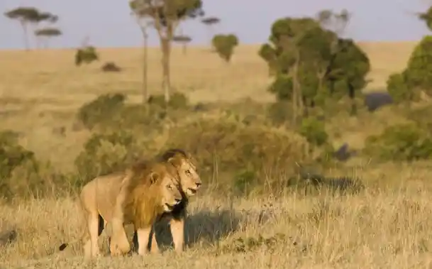 Tarangire National Park