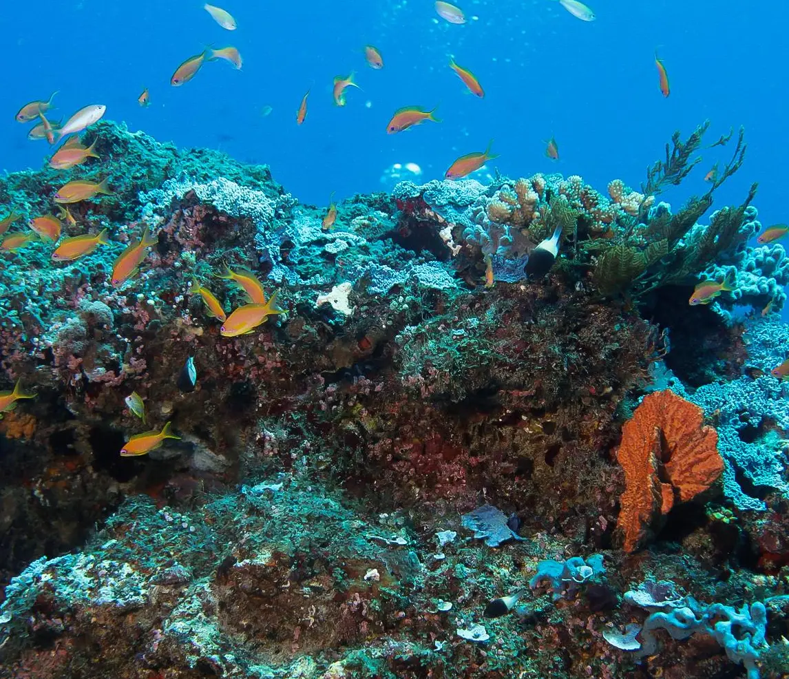 Zanzibar Activities